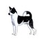 Canaan Dog (Design 4) - Printed Transfer Sheets for a variety of surfaces product 1